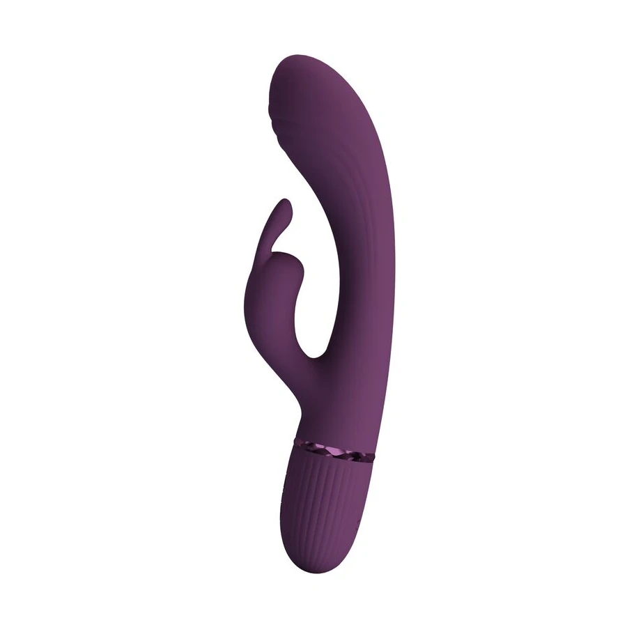 PRETTY LOVE - ROCCO RECHARGEABLE RABBIT VIBRATOR 10 FUNCTIONS PURPLE